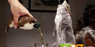 英酒廠製作動物屍體啤酒瓶 松鼠"死不瞑目"（圖）
