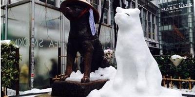 日本暴雪，民眾為忠犬八公堆砌雪人小夥伴