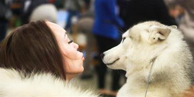 芬蘭舉行年度最大規模寵物狗展