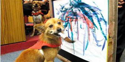 台一流浪狗學會畫畫 作畫一幅能賣兩千