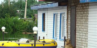 俄羅斯夏季水災，忠犬不顧危險水裡看家