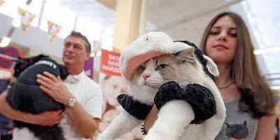 烏克蘭舉行貓咪秀 貓咪各種打扮齊亮相
