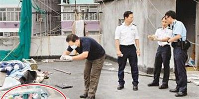 香港貴婦犬天臺困死，主人涉嫌虐待動物被拘捕
