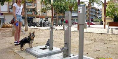 西班牙為治理狗糞問題推出狗狗專用廁所