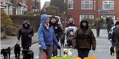 英國廣播公司讓狗在路旁大小便類比沒有公共服務的效果