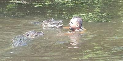美國導遊下水與鱷魚親密接觸餵食鱷魚